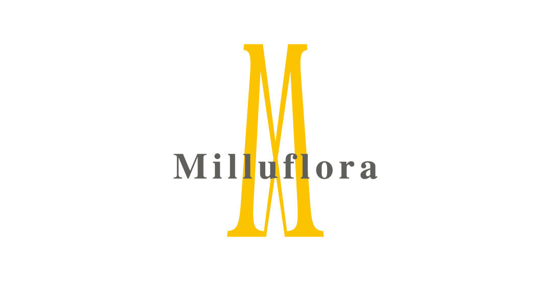 【重要】地震の影響によるお荷物の遅延について