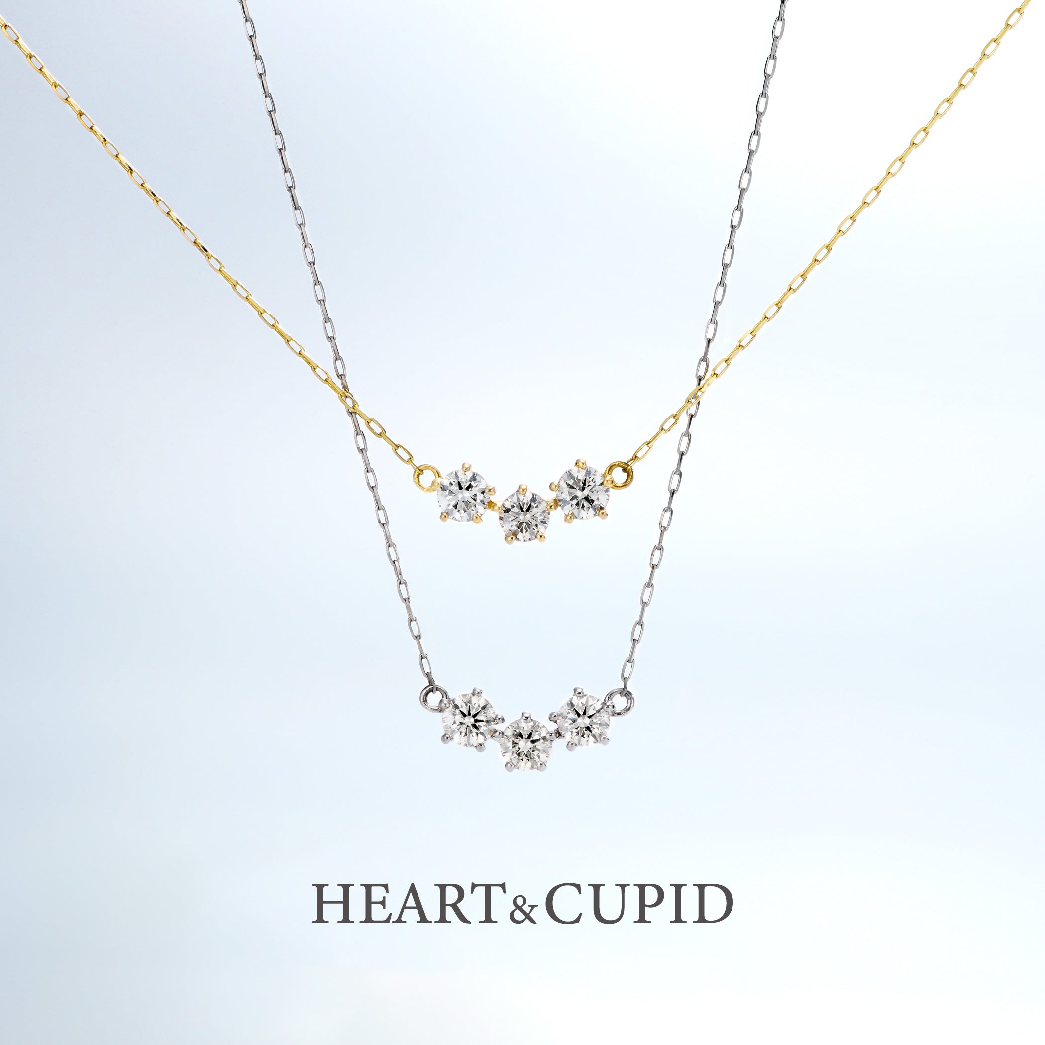 Collection_HC_2025.jpg